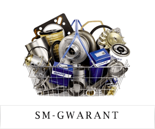 Автоматизация компании SM Gwarant